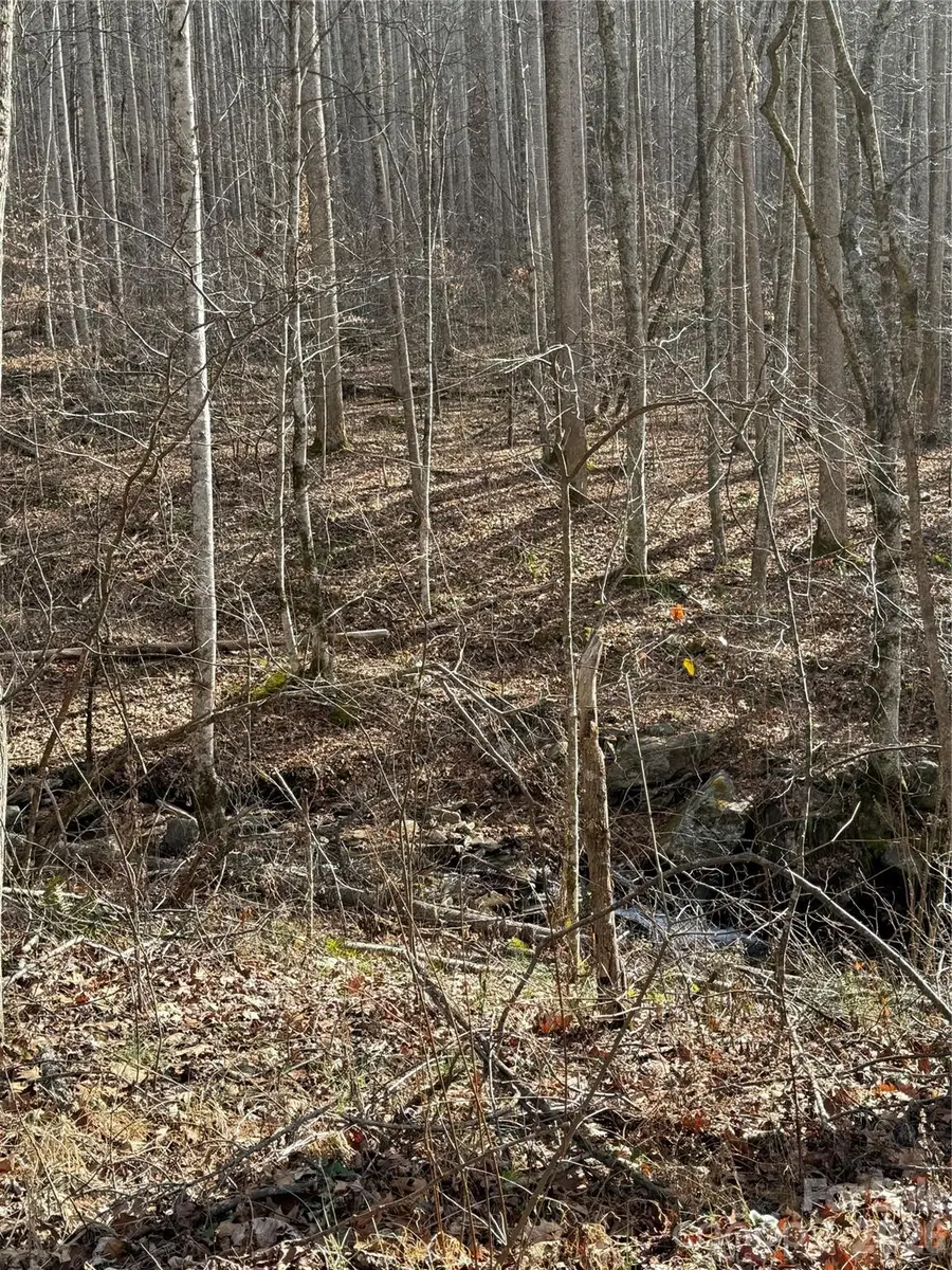 00000 Martins Creek Road, Barnardsville, NC 28709 - #3