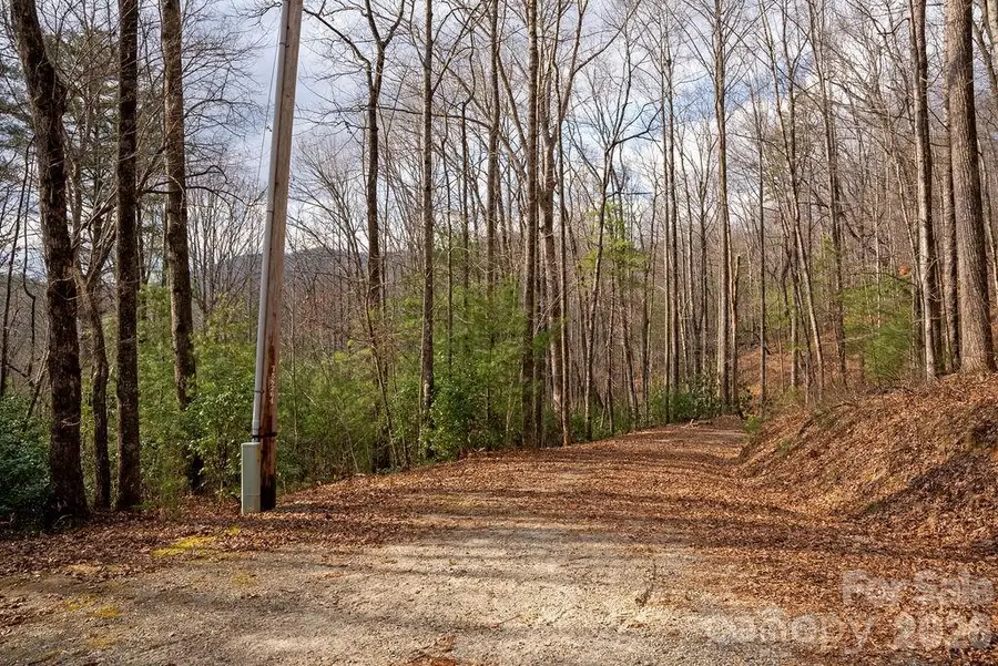 Lot 48 Fox Den Road, Brevard, NC 28712 - Image #3