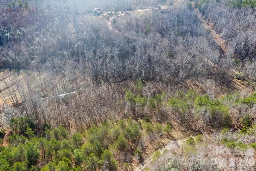 0 Riding Ring Drive #11, Ellenboro, NC 28040 - #3