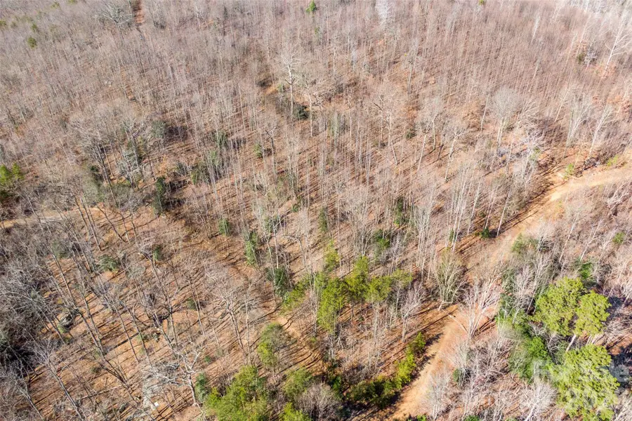 0 Ashe Drive #28A, Ellenboro, NC 28040 - #3