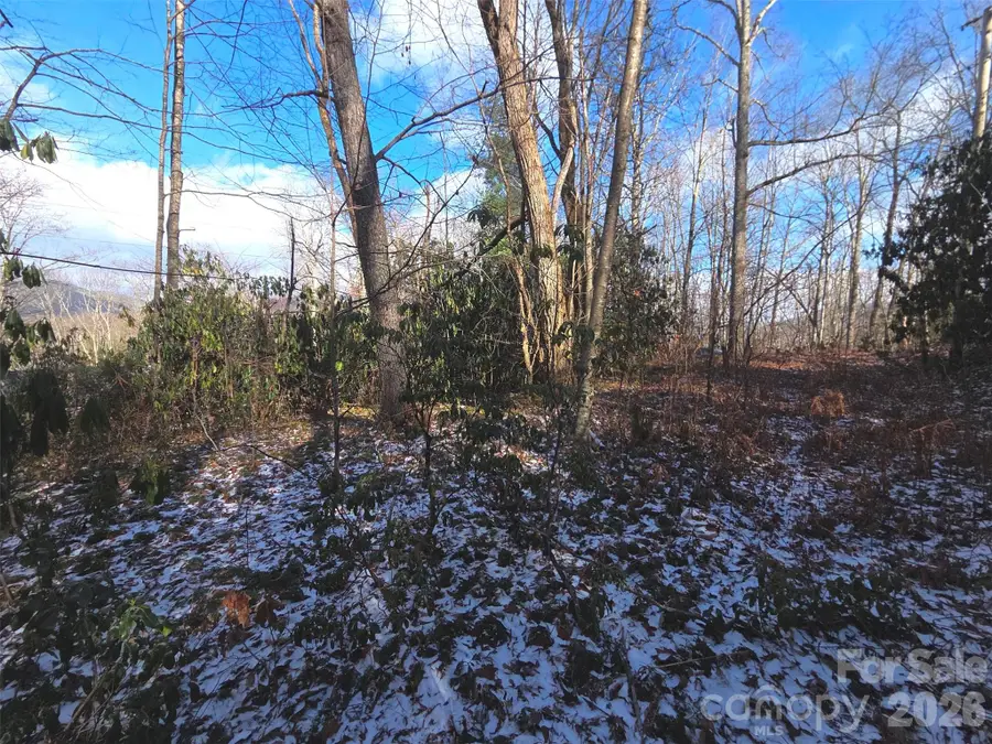 10 Tall Oaks Drive #58A & 58B, Maggie Valley, NC 28751 - Image #3