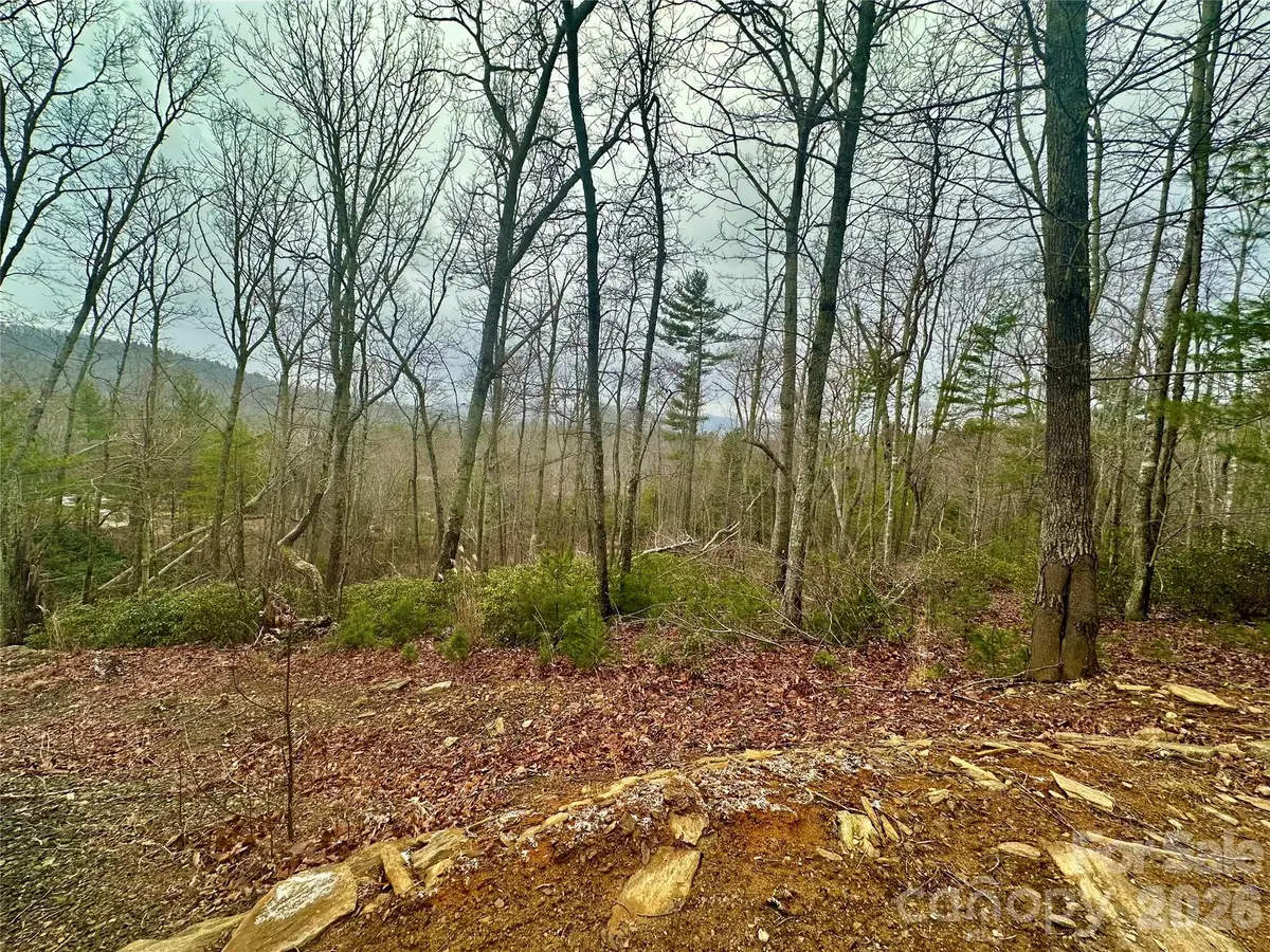 000 Orchard View Trail #11, Spruce Pine, NC 28777 - #1