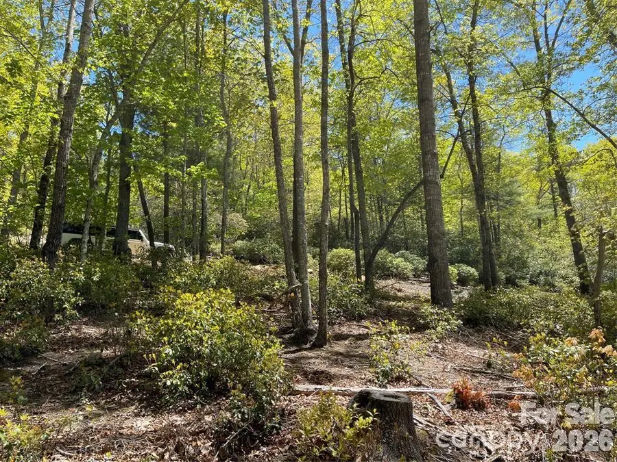 000 Orchard View Trail #11, Spruce Pine, NC 28777 - #3