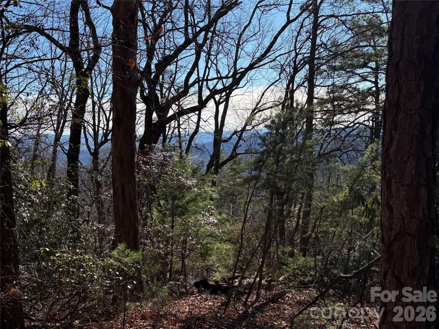 TBD Bobcat Mountain Road #27, Purlear, NC 28665 - #2