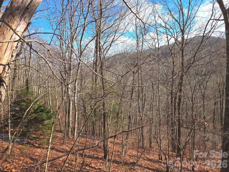 220 Sky Drive, Maggie Valley, NC 28751 - Image #2