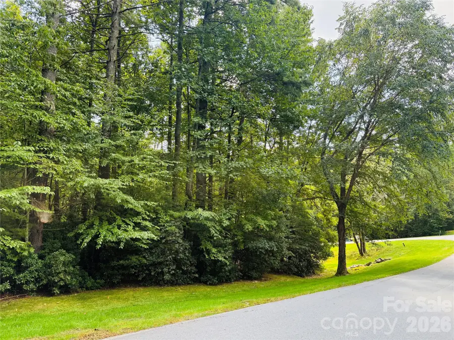 20 Prickly Briar Road, Hendersonville, NC 28739 - Image #3