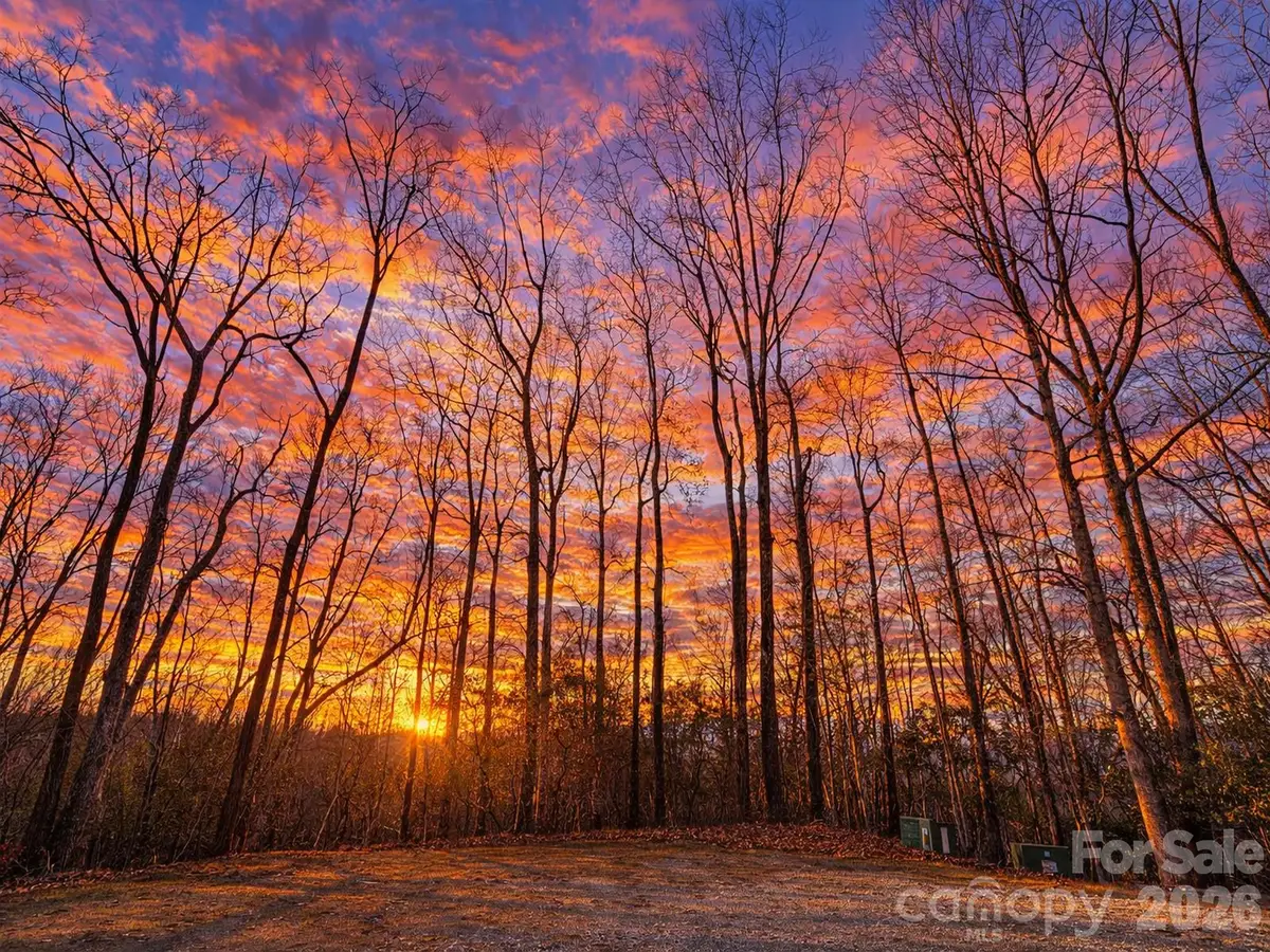 19 Cheestoonaya Way #25, Brevard, NC 28712 - Image #1