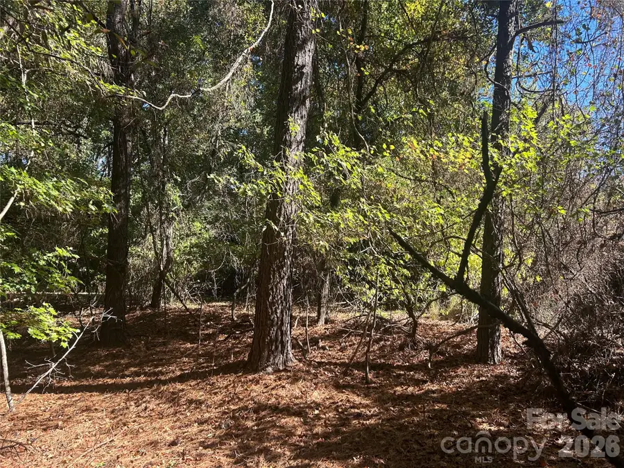 5 AC Lot 2 Ernandez Road, Richburg, SC 29729 - Image #2