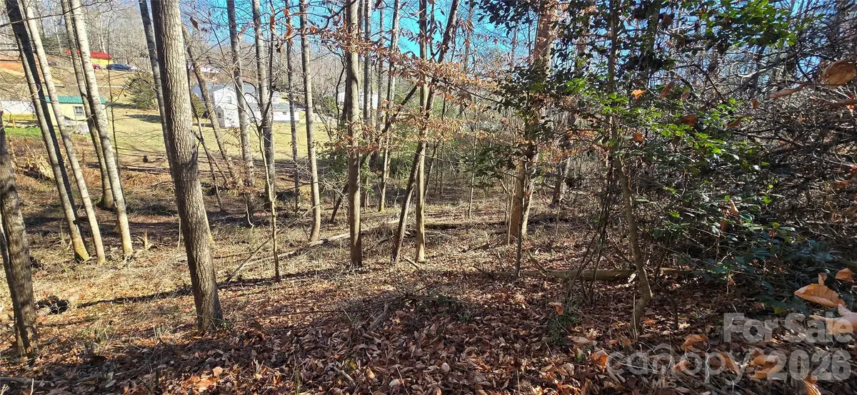 0 Peak Place, Lenoir, NC 28645 - Image #1