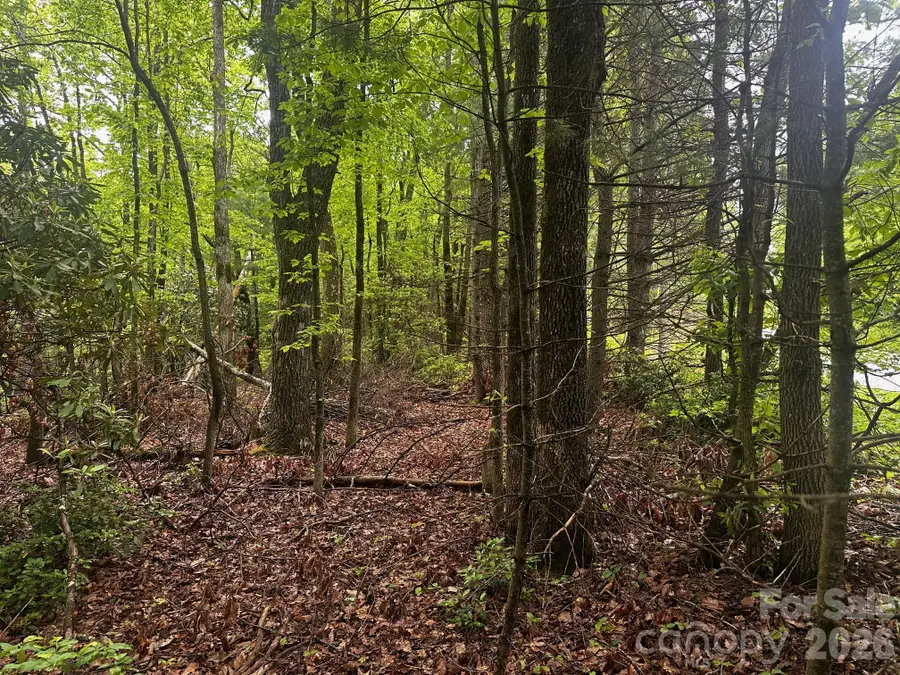 784 Shumont Road, Black Mountain, NC 28711 - Image #2