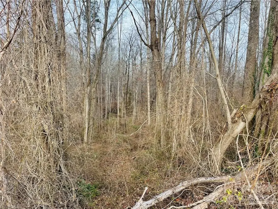 000 Union Hill Road, Thurmond, NC 28683 - #3