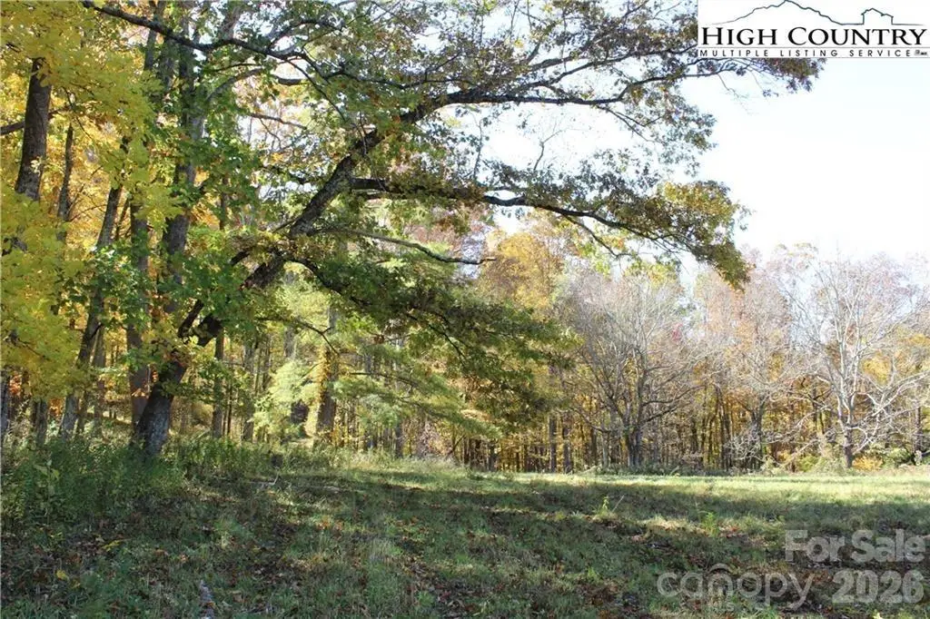 TBD Mcneill Road, Lansing, NC 28643 - Image #1