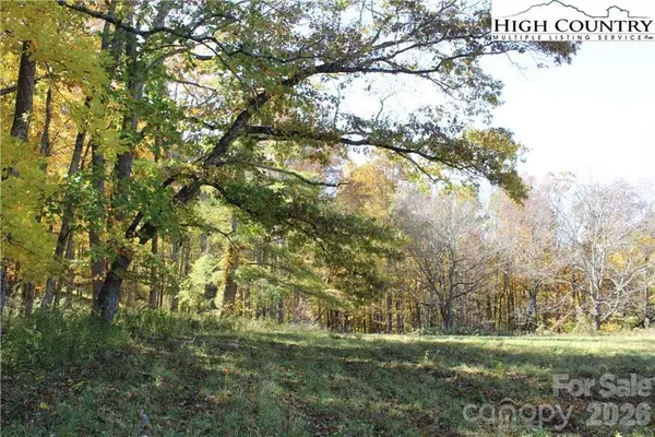 TBD Mcneill Road, Lansing, NC 28643