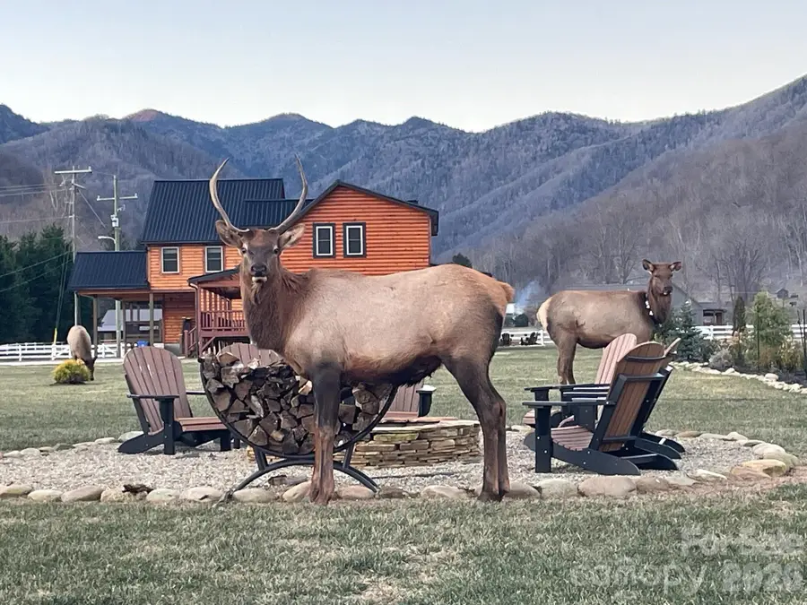 54 Meandering Way #31, Maggie Valley, NC 28751 - Image #2