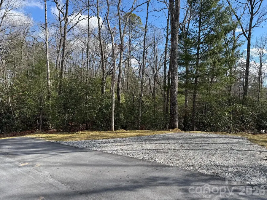 Tract 3 Turtle Ridge Trail, Mills River, NC 28759 - #2