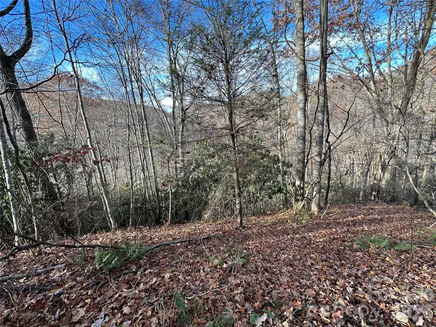 00 Rock House Cove Road #2, Clyde, NC 28721 - Image #2