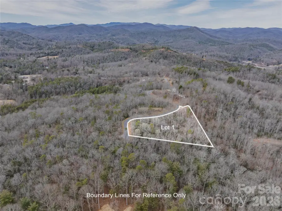 Tract 1 Turtle Ridge Trail, Mills River, NC 28759 - #2