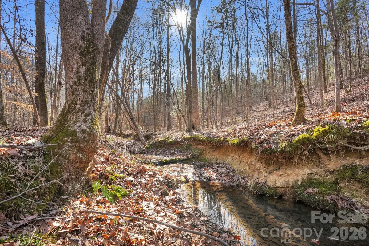 0000 Shannon Road, Blackstock, SC 29014 - #1