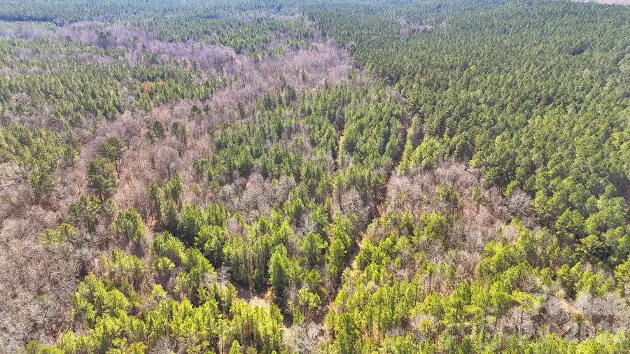 0000 Shannon Road, Blackstock, SC 29014 - #2