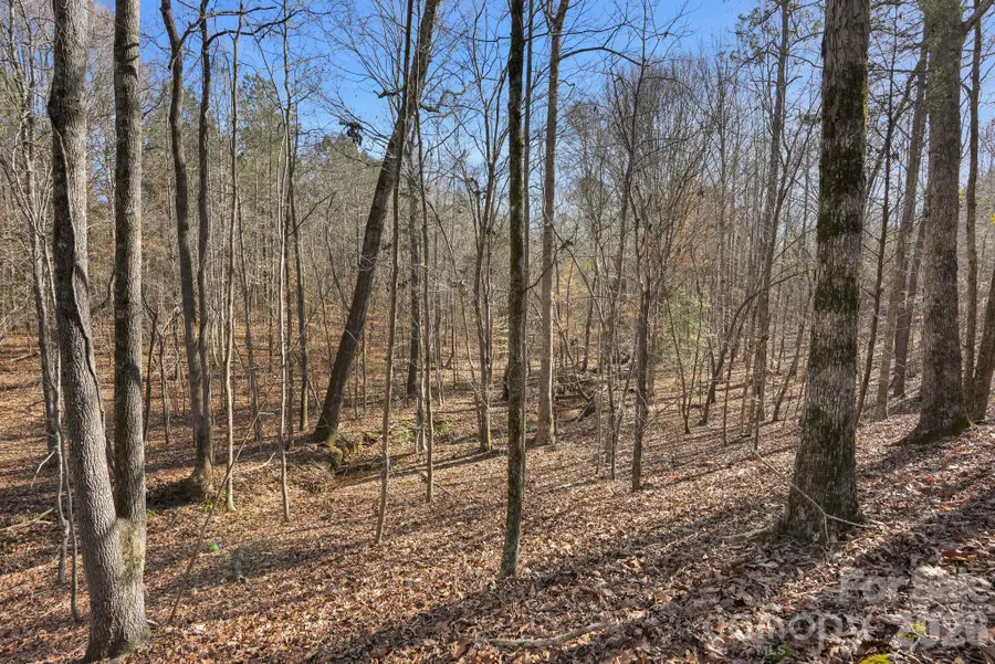 0000 Shannon Road, Blackstock, SC 29014 - #3