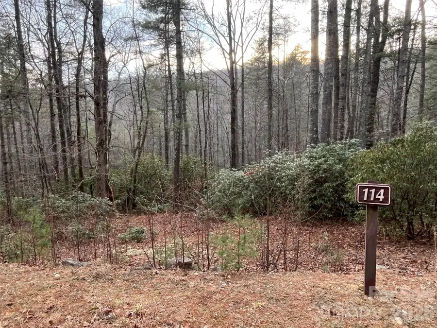 Lot 114 Huckleberry Ridge Lane, Zirconia, NC 28790 - #2