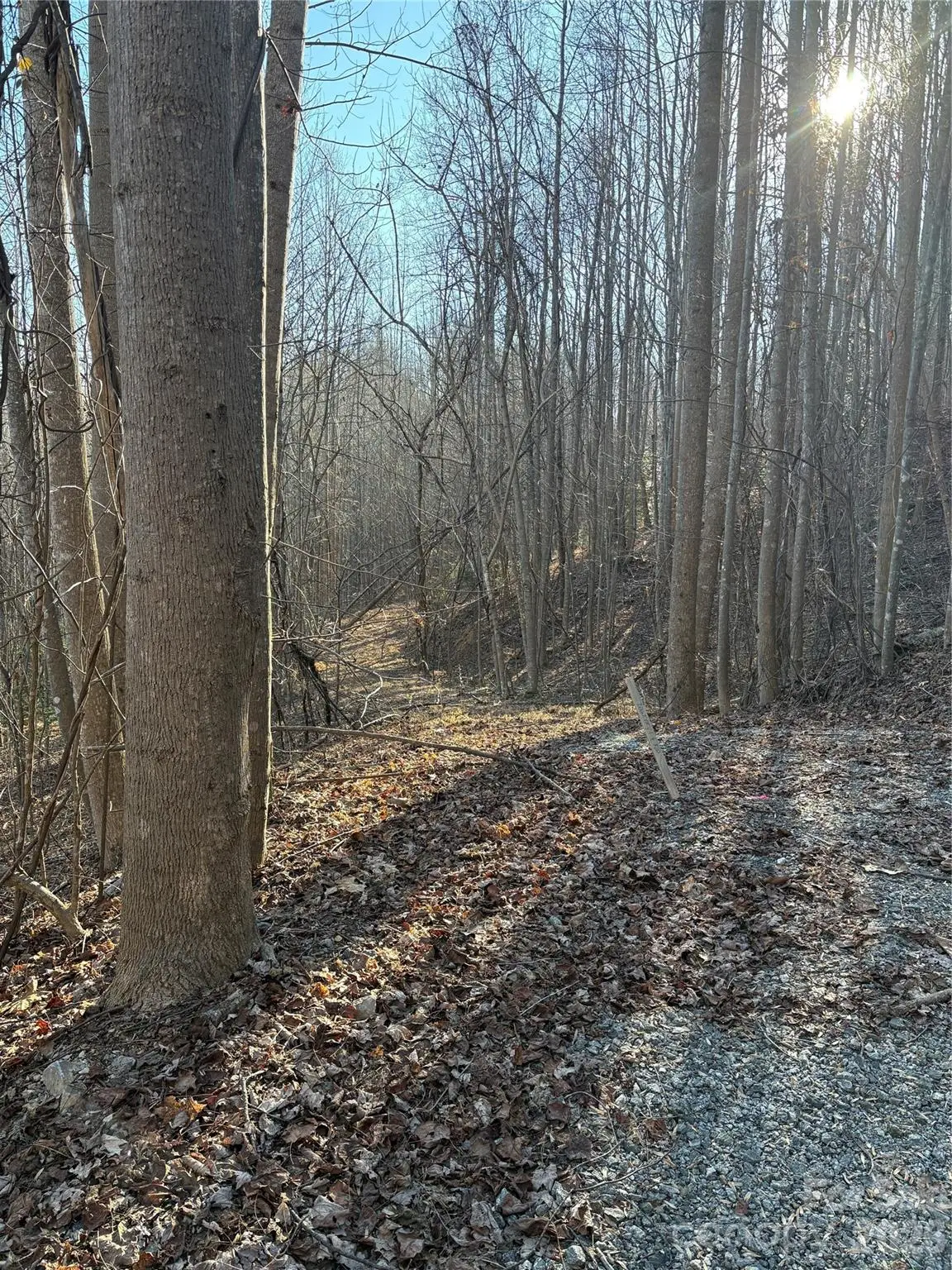 V/L Brindlewood Drive #38V, Nebo, NC 28761 - Image #1