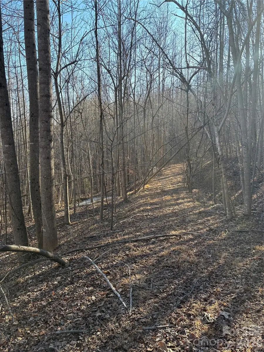 V/L Brindlewood Drive #38V, Nebo, NC 28761 - Image #3