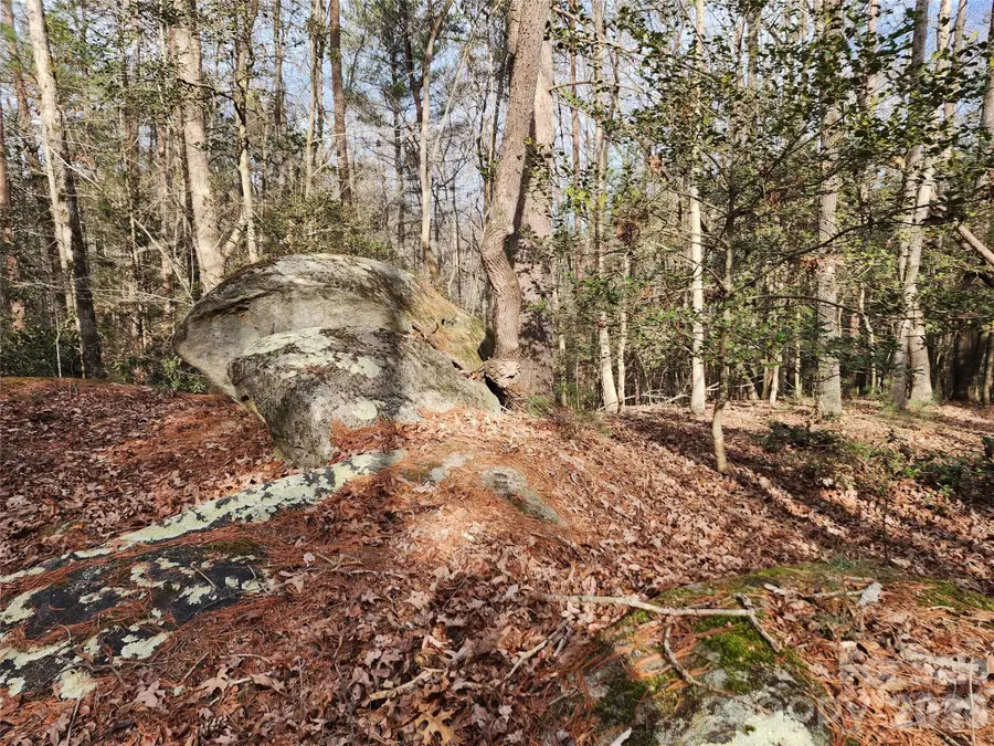 0 Rainbow Trout Drive #14, Hays, NC 28635 - #2