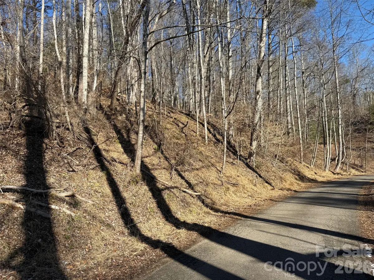 999 Echo Hill Drive #4, Green Mountain, NC 28740 - #1