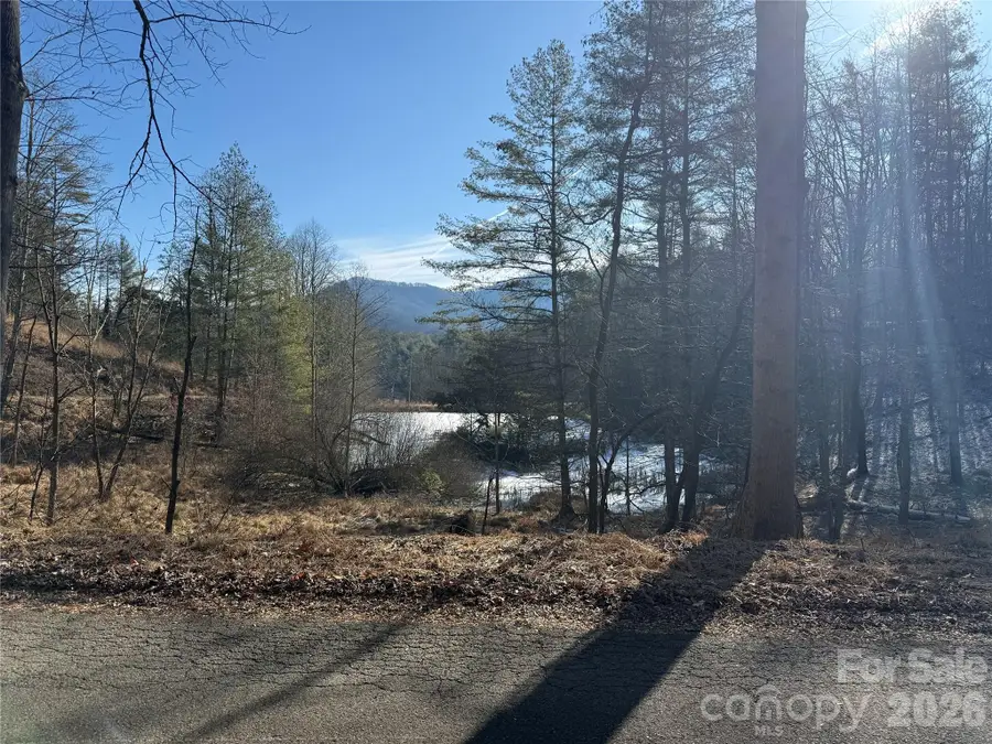 999 Echo Hill Drive #4, Green Mountain, NC 28740 - #3