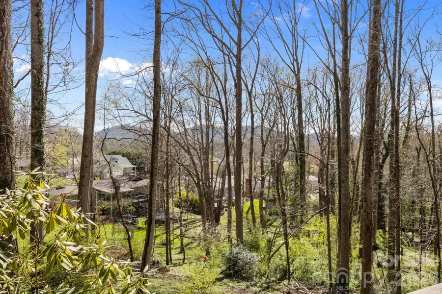 411 Overhill Drive, Hendersonville, NC 28792 - #3