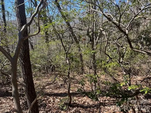 Lot 79 Arrowhead Trail, Columbus, NC 28722 - Image #3