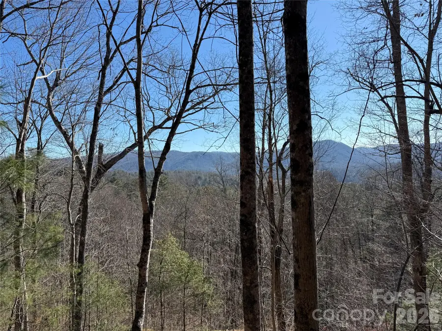33 High Point Trail, Brevard, NC 28712 - Image #2