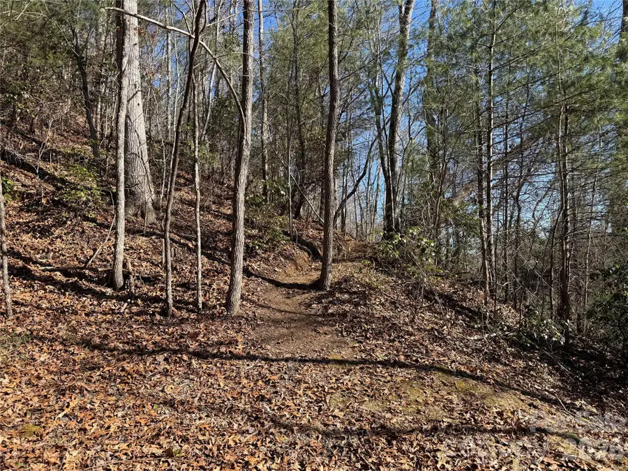 33 High Point Trail, Brevard, NC 28712 - Image #3