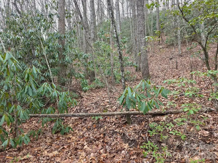 00 Barking Dog Lane, Burnsville, NC 28714 - #3