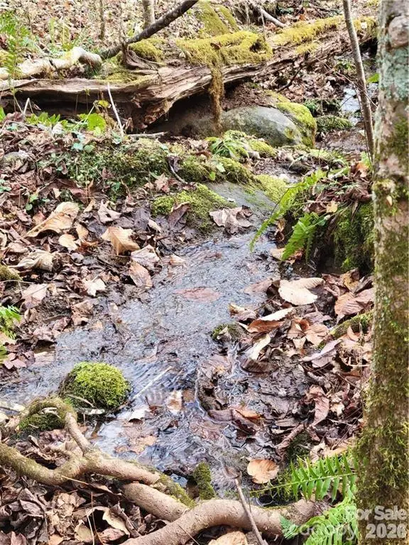 00 Sweet Creek Road, Bakersville, NC 28705 - Image #2