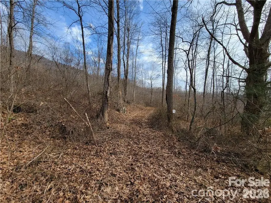 00 Sweet Creek Road, Bakersville, NC 28705 - Image #3
