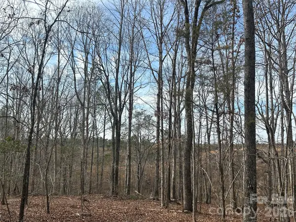 33 Ac Lot A Countryside Drive, Blackstock, SC 29014