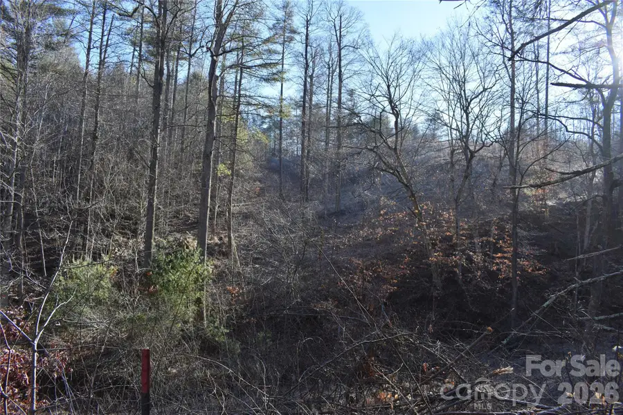 448 Sweetwater Road, Green Mountain, NC 28740 - #3