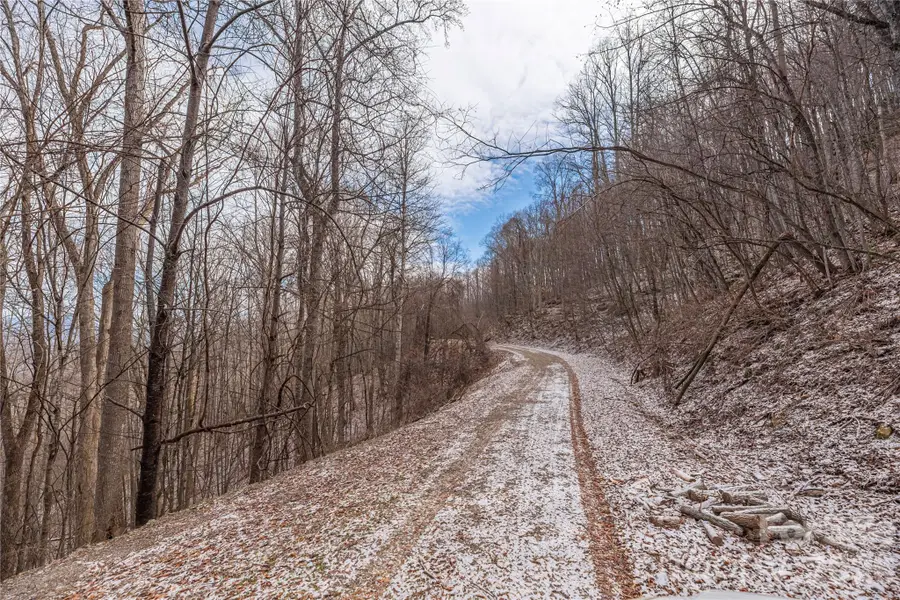 00 Curry Comb Trail #516, Waynesville, NC 28785 - #2