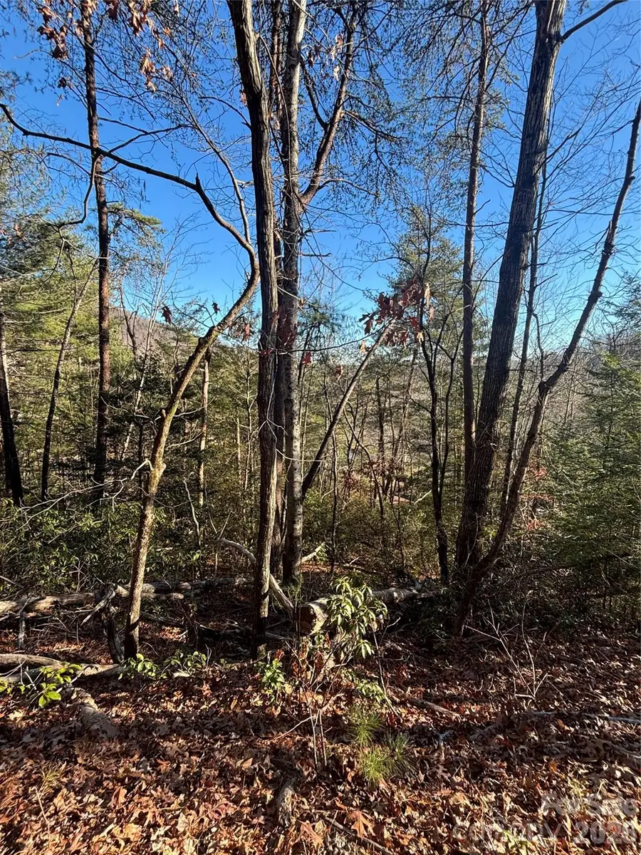 Lot 19 Nicklaus Lane, Lake Lure, NC 28746 - Image #2