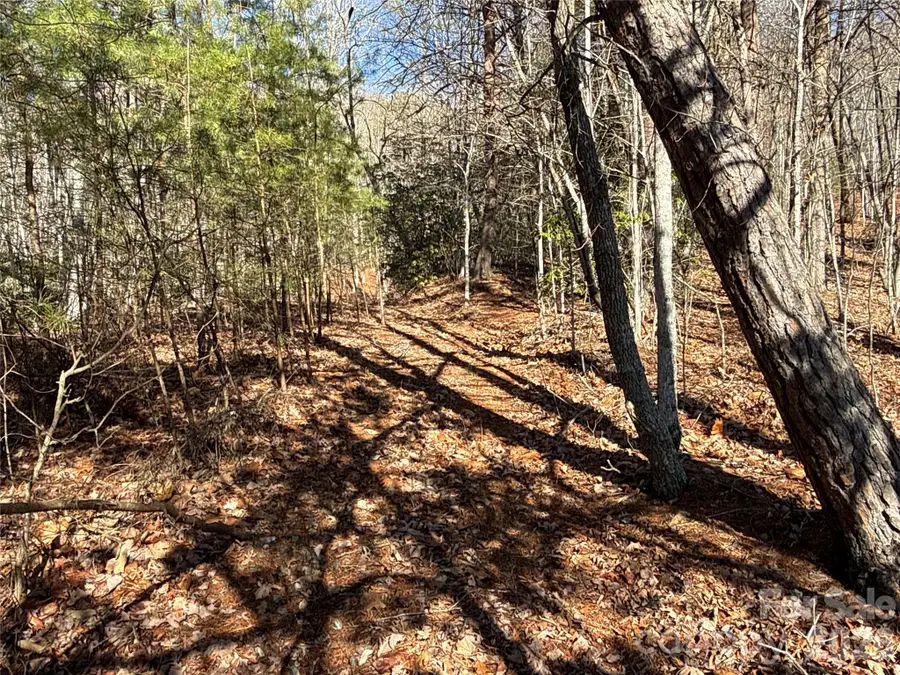 9999 Sealey Lane, Leicester, NC 28748 - Image #2