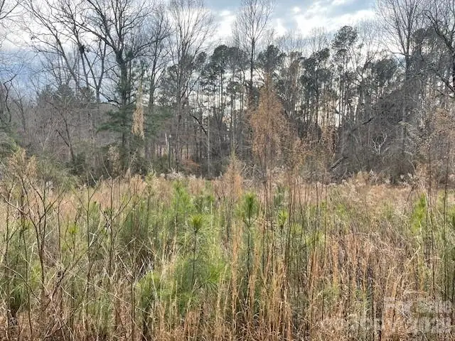 593 Brooks Road, Bostic, NC 28018 - Image #2