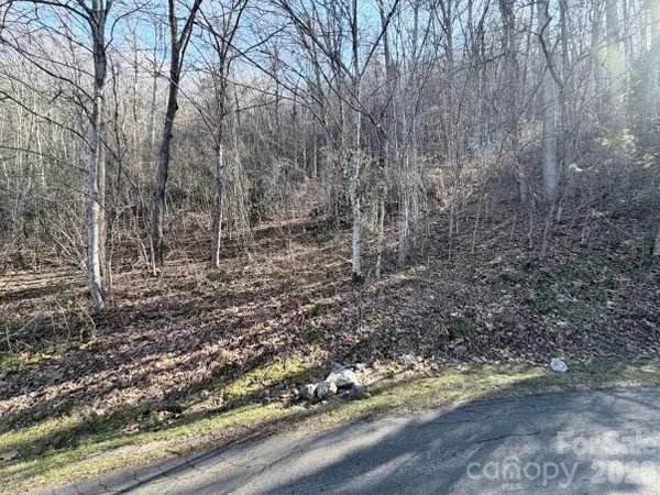 76 View Ridge Parkway #7, Leicester, NC 28748