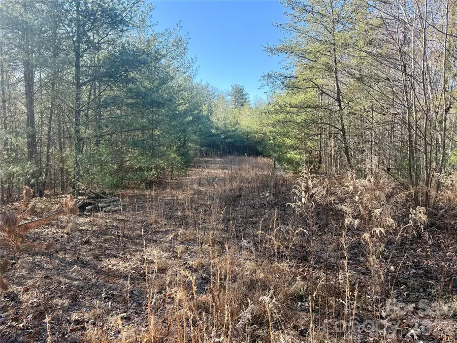 2095 Hitching Post Trail #G45, Lenoir, NC 28645 - Image #2