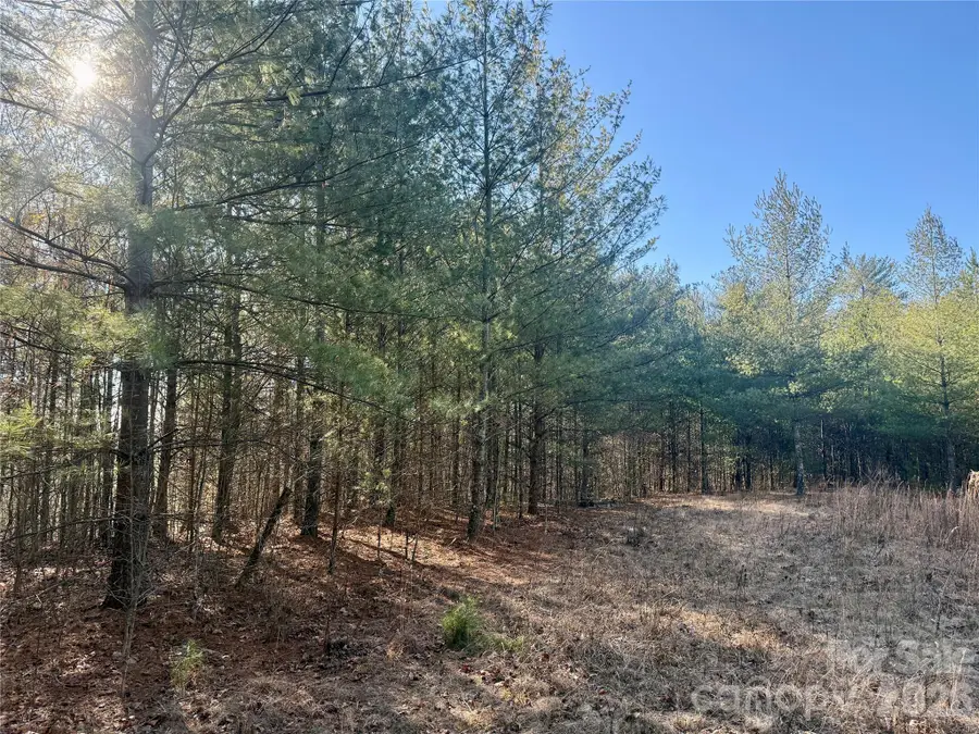 2095 Hitching Post Trail #G45, Lenoir, NC 28645 - Image #3