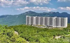 303 Sugar Top Drive #2323, Sugar Mountain, NC 28604 - Image #2