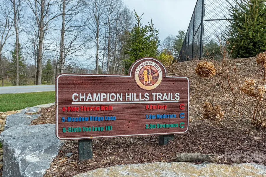 24 Falls Lane #391, Hendersonville, NC 28739 - Image #2