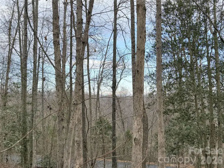 0000 E Rambling Creek Drive #26, Tryon, NC 28782 - #2