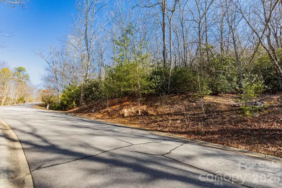 204 Settings Boulevard #247, Black Mountain, NC 28711 - Image #2